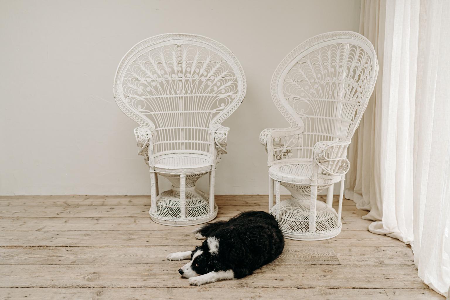 white wicker peacock chair