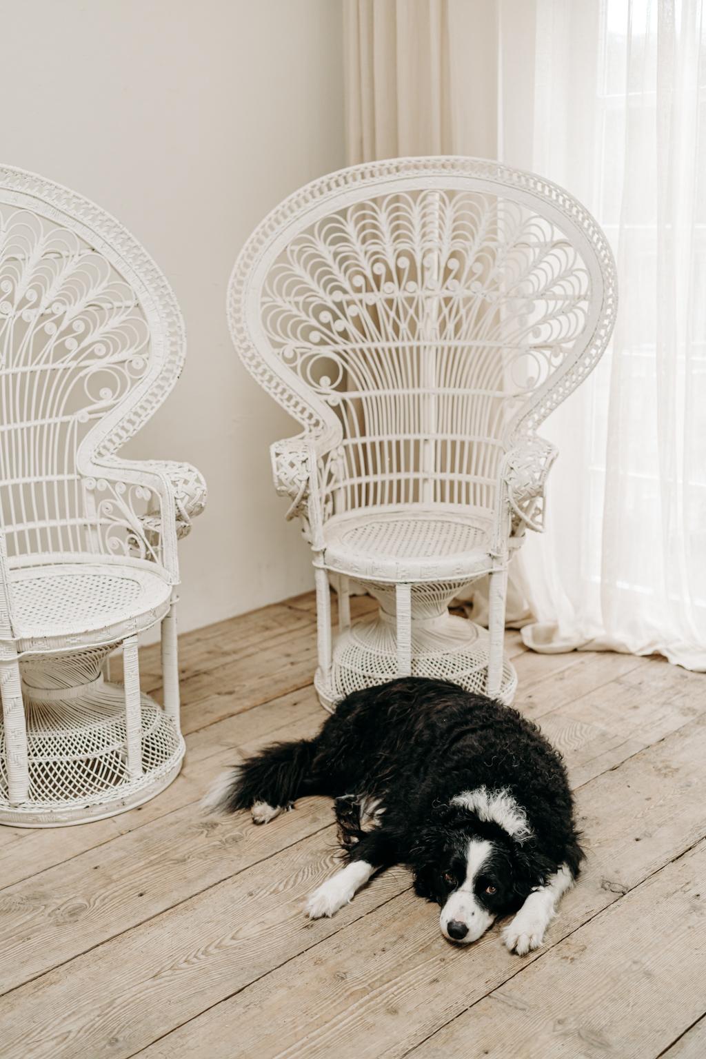 Paar weiß bemalte „Emanuelle“-Stühle mit Pfauen aus Korbweide in Weiß (Gemalt) im Angebot
