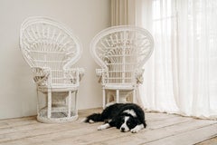 Pair of White Painted Wicker Peacock "Emanuelle" Chairs