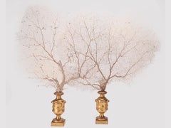 A pair of white-sand gorgonian branches, Italy 1870.