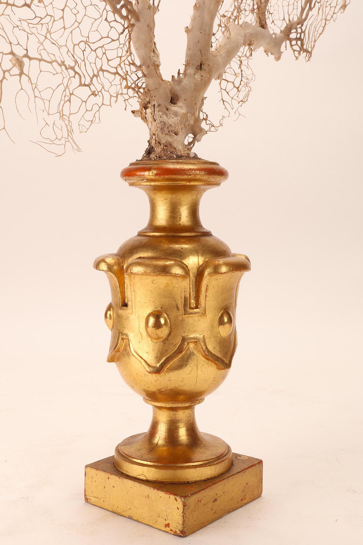 Ein Paar Gorgonianische Zweige aus weißem Sand, Italien 1870. (19. Jahrhundert) im Angebot