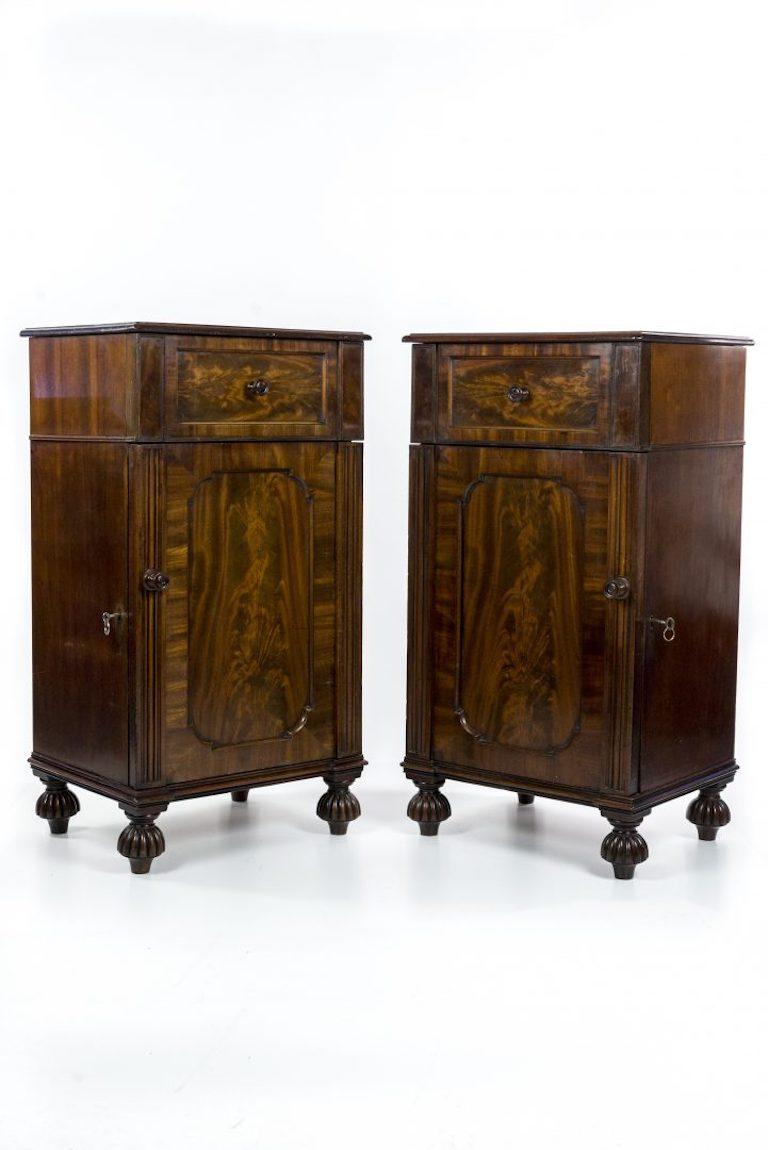 Pair of William IV Mahogany Pedestal Cupboards in the Manner of Gillows 1