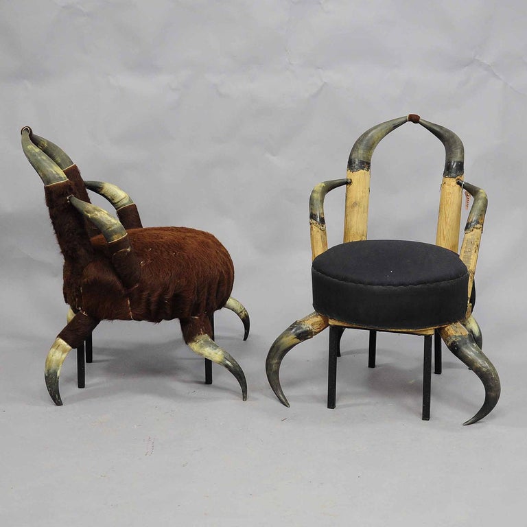 A pair small bull Horn chairs circa 1870, one covered with vintage cow coat which has to be renewed (is loosing the hairs), the other without cover. Iron legs added to improve stability. Manufactured in Austria circa 1870. 

Please contact us for an