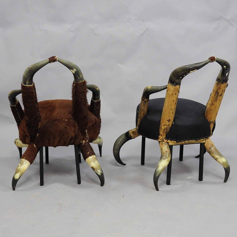 Black Forest Pair Small Antique Horn Chairs, Austria, circa 1870 For Sale