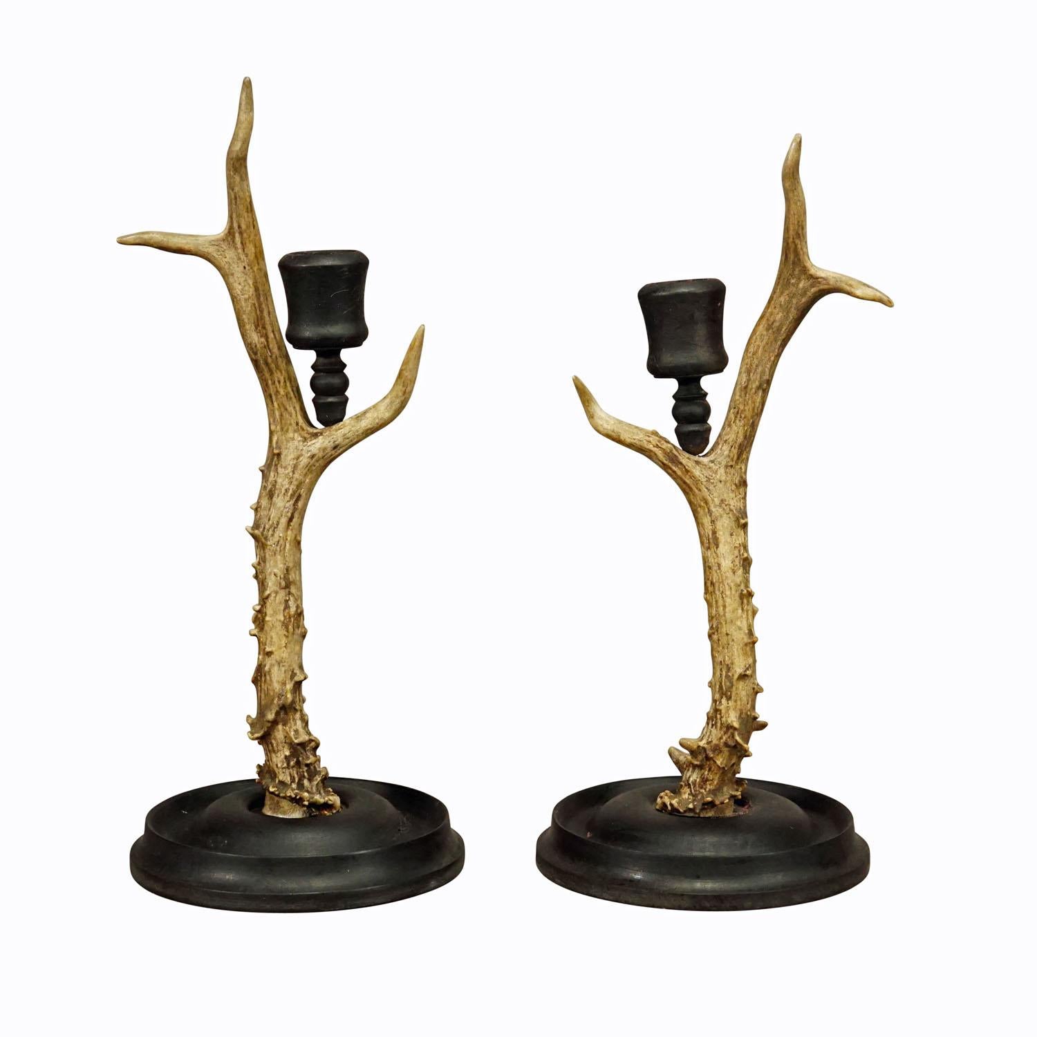 Ein Paar Schwarzwälder Kerzenständer mit Holzsockel und Ausguss, Deutschland ca. 1930er Jahre

Das Paar Schwarzwälder Kerzenhalter besteht aus einem gedrechselten Holzsockel und einer Tülle. Jedes Stück ist aus einem originalen Hirschhorn gefertigt.