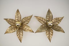 Pair Wall or Ceiling Lamp by Willy Daro for Massive, Belgium, 1960s