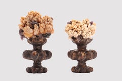 Paire de spécimens minéraux naturels « Wunderkammer » : cristaux de calcite en forme de fleur, Italie, 1880.