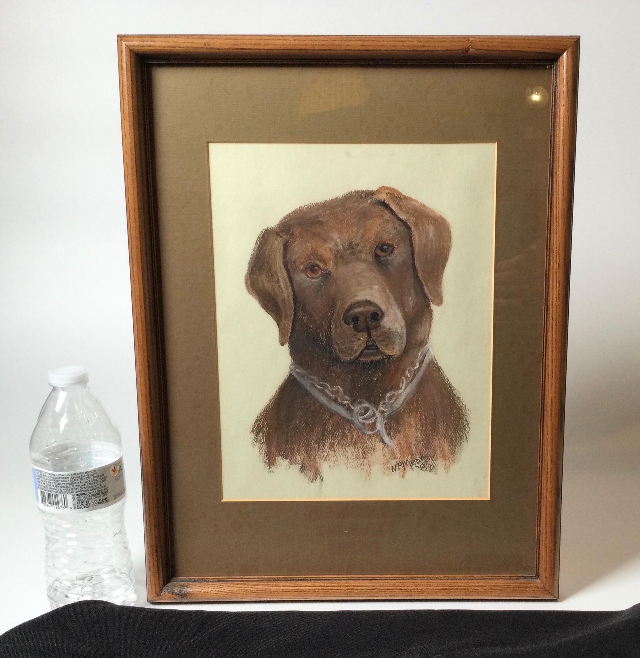 Peinture au pastel sur papier du 20e siècle représentant un Labrador chocolaté. Excellent état de ce beau chien. Signé dans le coin inférieur, daté '85. 17 de haut, 13,5 de large, 1 pouce de profondeur.