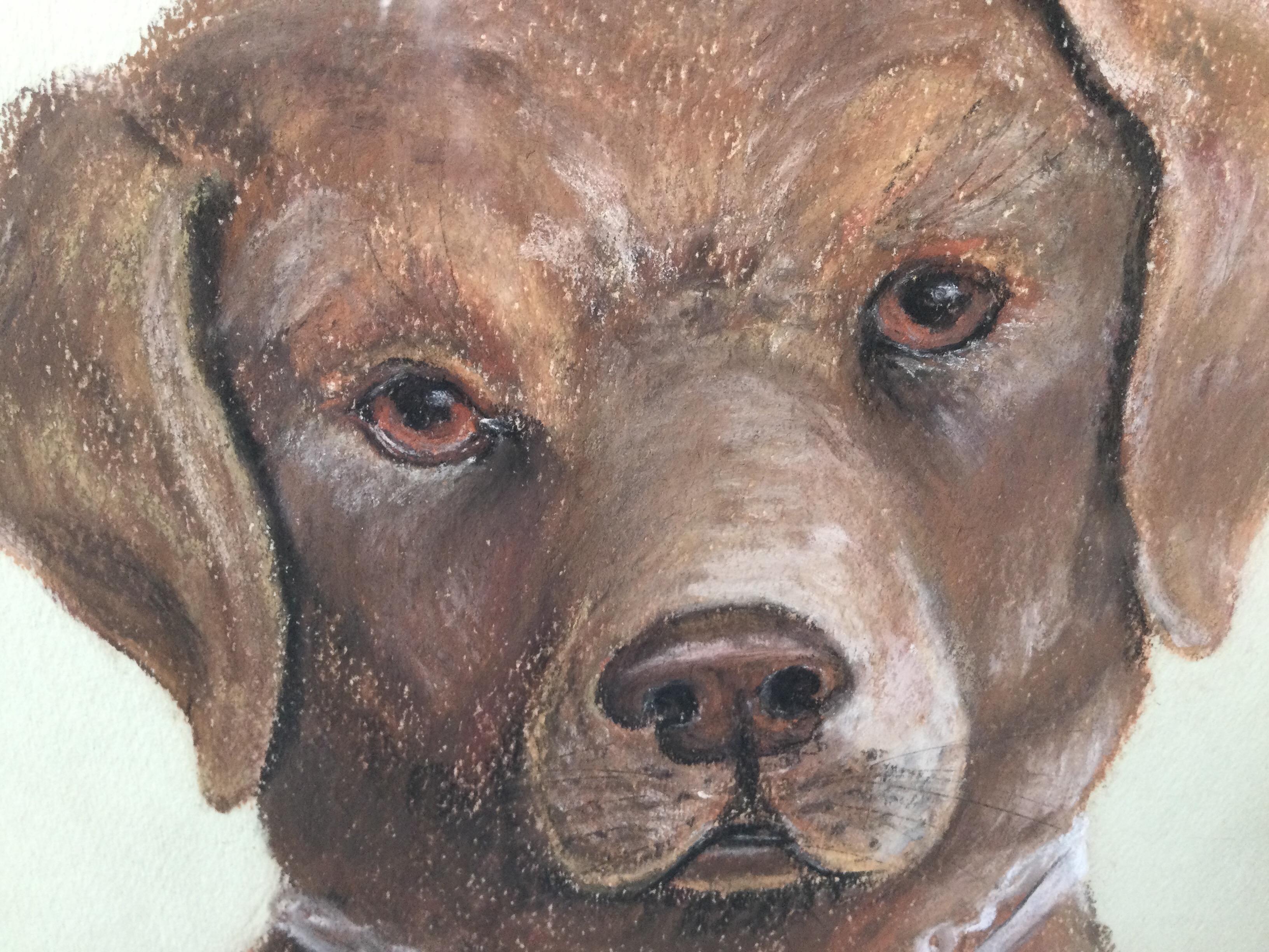 American Pastel on Paper of a Chocolate Lab. For Sale