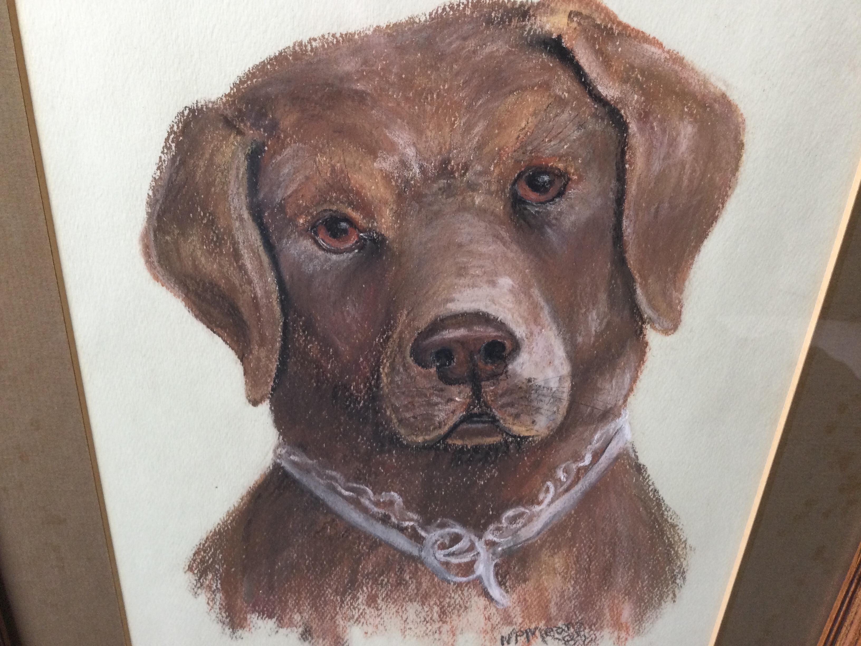 Late 20th Century Pastel on Paper of a Chocolate Lab. For Sale