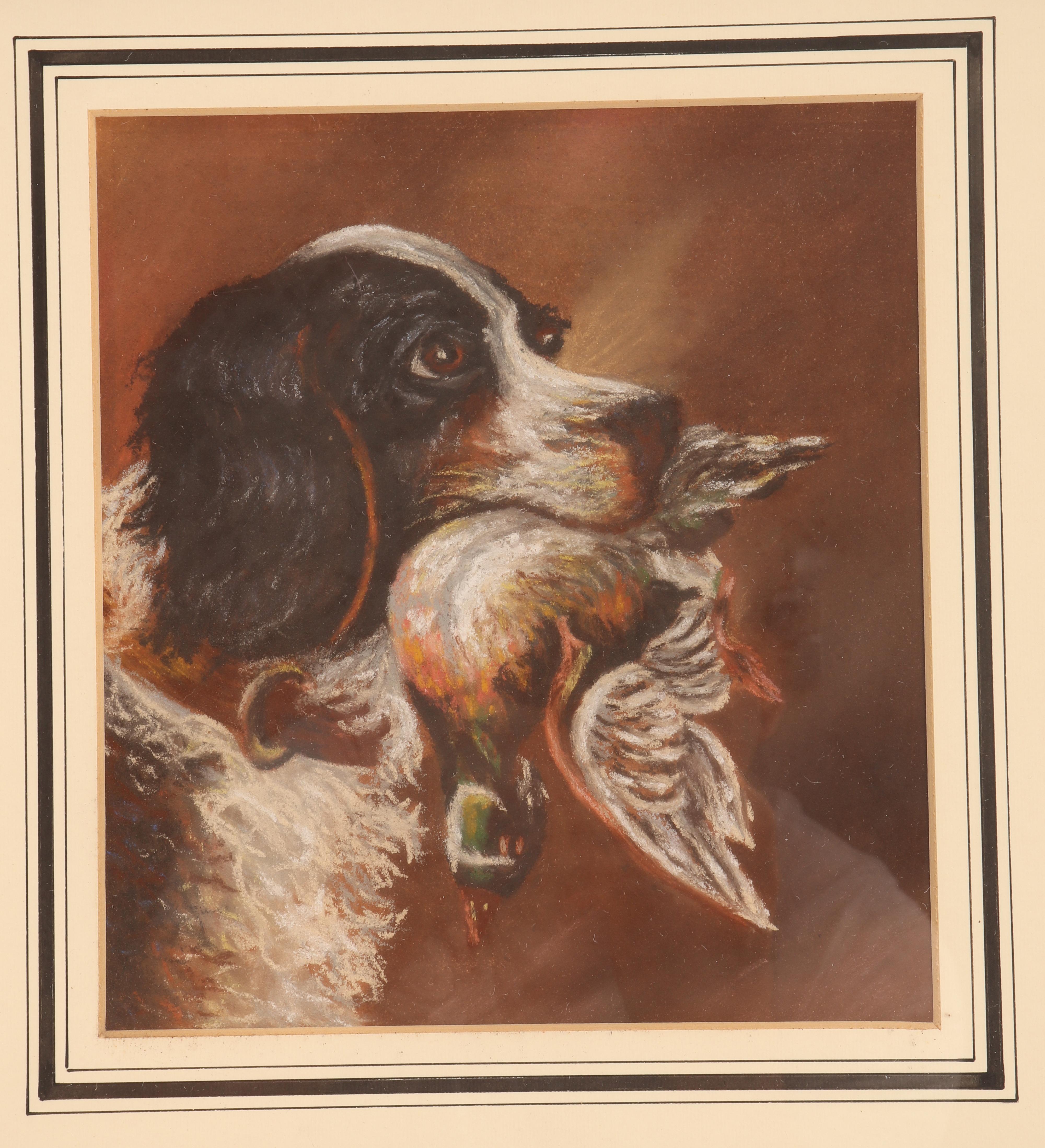A pastel painting depicting the head of a spaniel dog with a wild duck in his mouth. Solid cherry wood frame, polished and beeswaxed. England circa1930.