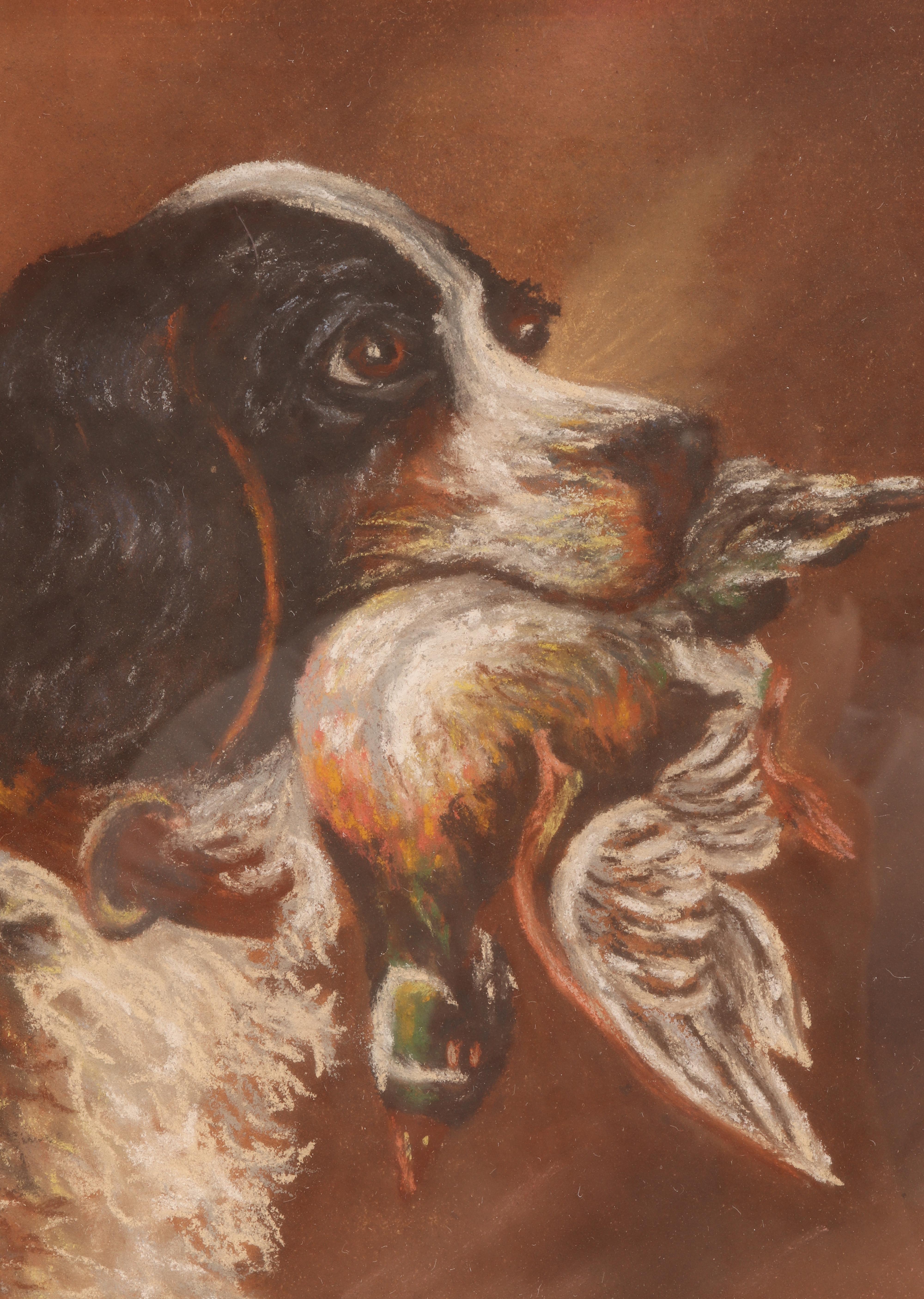 British Pastel Painting Depicting the Head of a Spaniel Dog, England, 1930 For Sale