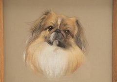 Pastel Painting on Paper, Depicting a Pekingese Dog, England, 1940