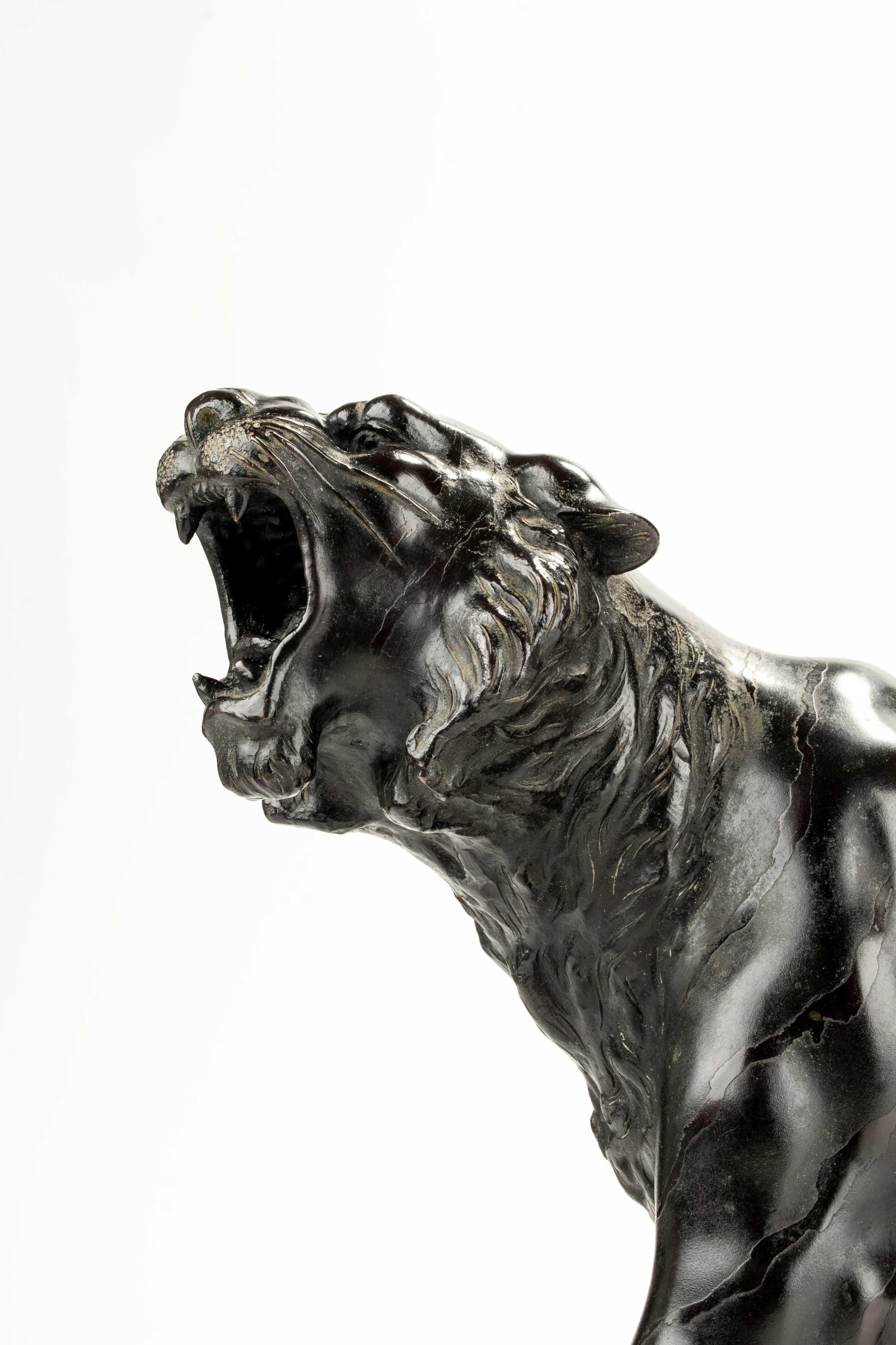 A dark patinated bronze okimono of exceptional quality, depicting the study of a powerful roaring tiger, signed Maruki Company and Atsuyoshi. 

The animal is shown with hind legs bent, tail raised and curved at the tip, and the body set diagonally,