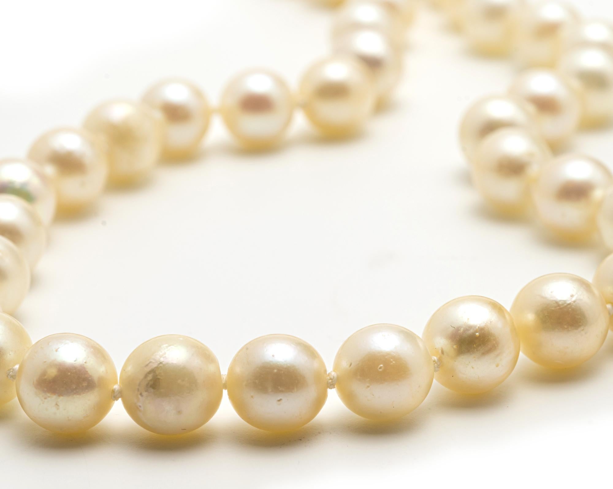 
A Pearl Necklace 
formed of 51 cultured pearls, 7.9 to 8.1 mm, white gold clasp
length 18 in.
45 cm