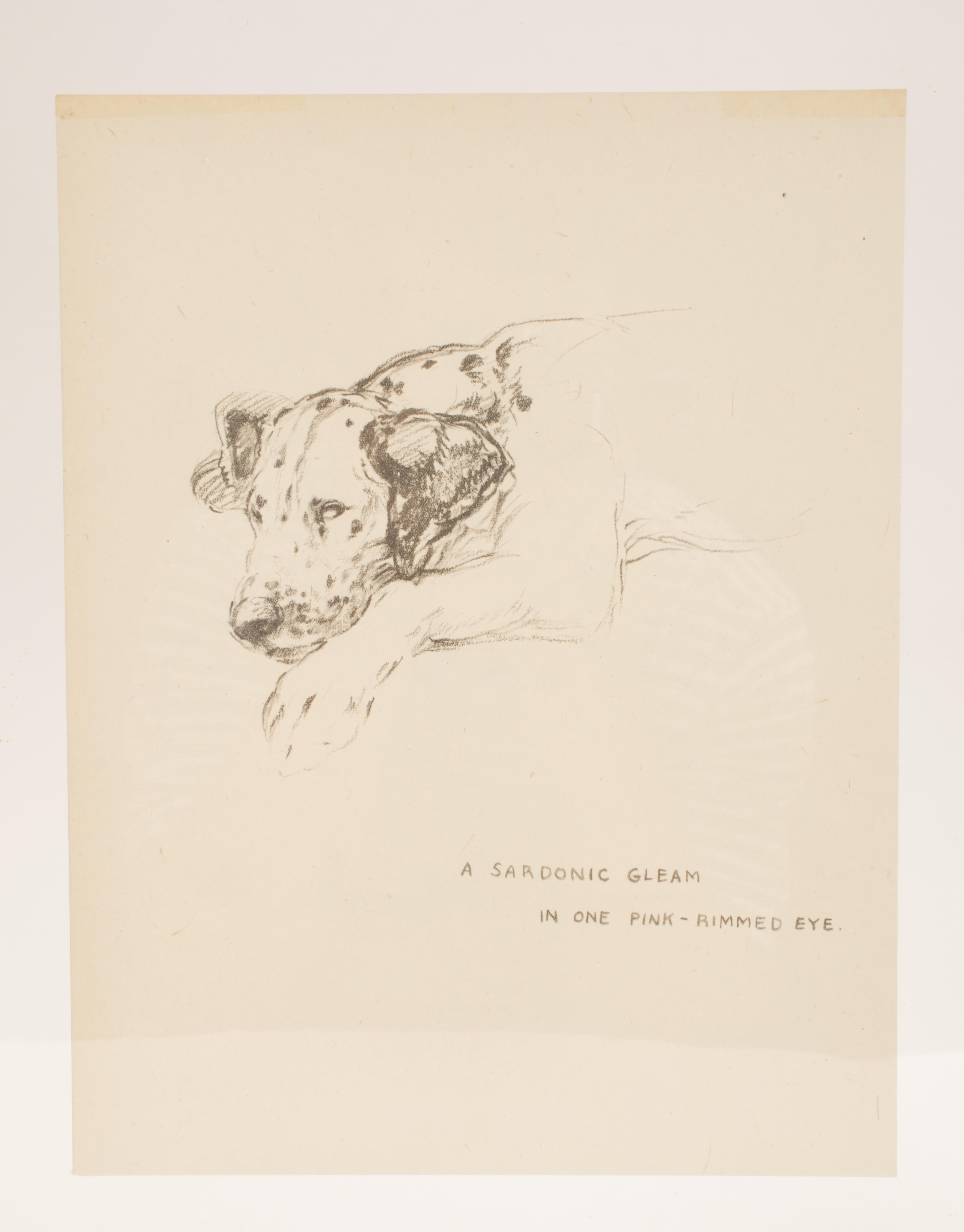 Bleistiftzeichnung mit der Darstellung eines Dalmatinerhundes, USA, 1940 im Zustand „Hervorragend“ im Angebot in Milan, IT