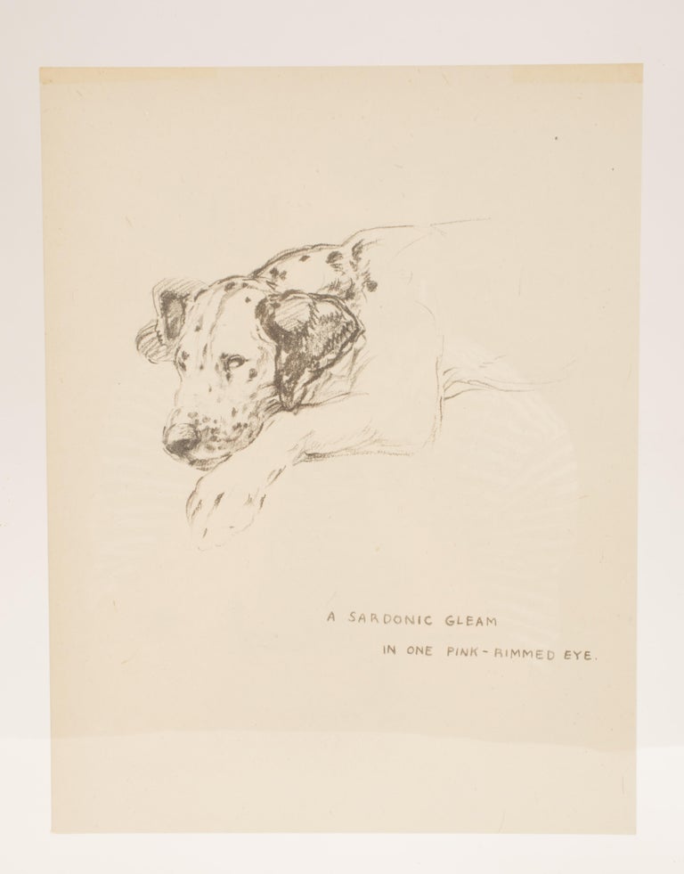 Pencil Drawing Depicting a Dalmatian Dog, USA, 1940 In Excellent Condition For Sale In Milan, IT