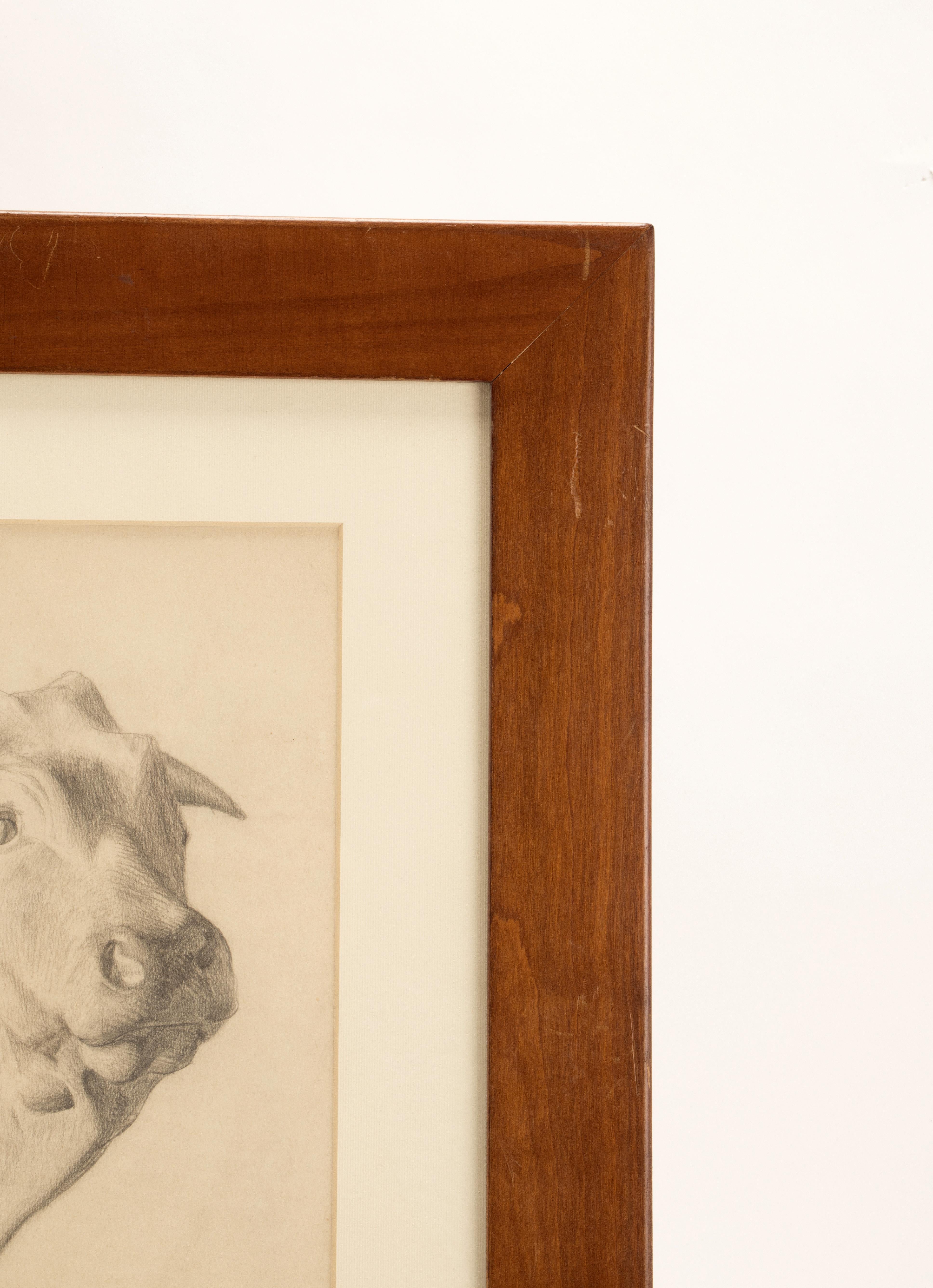 Austrian Pencil Drawing Depicting the Head of an Ox, Austria 1920 For Sale