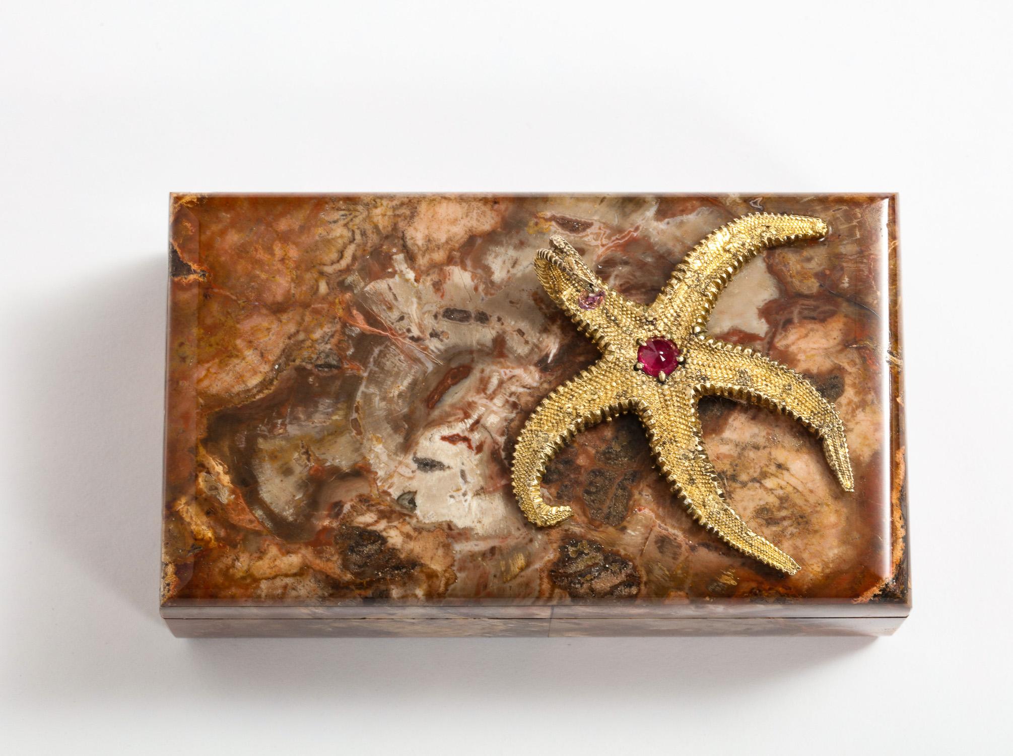 Italian Petrified Wood Box with Silver-Gilt Starfish and Pink Sapphire by Nardi