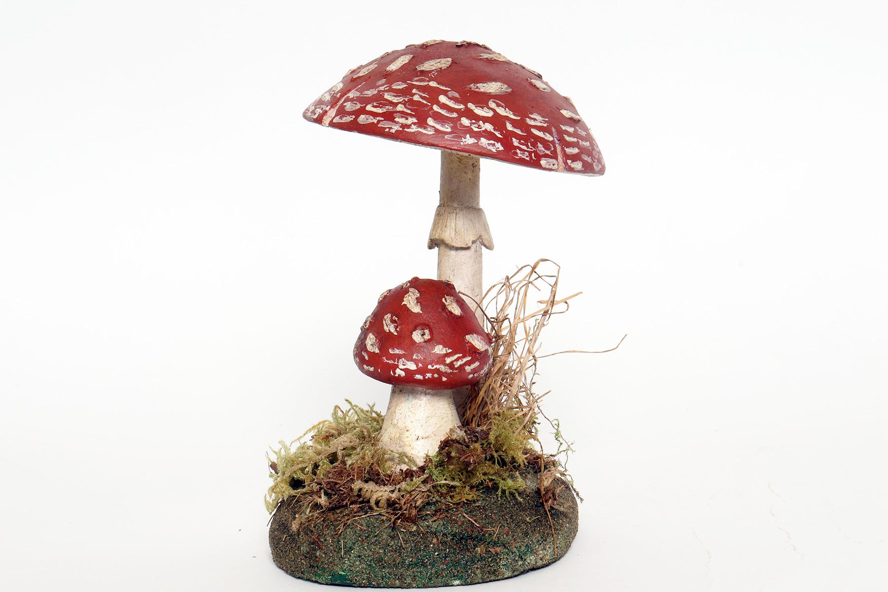 Italian A pharmacy mushroom model: Amanita Rubescens, Italy 1950.