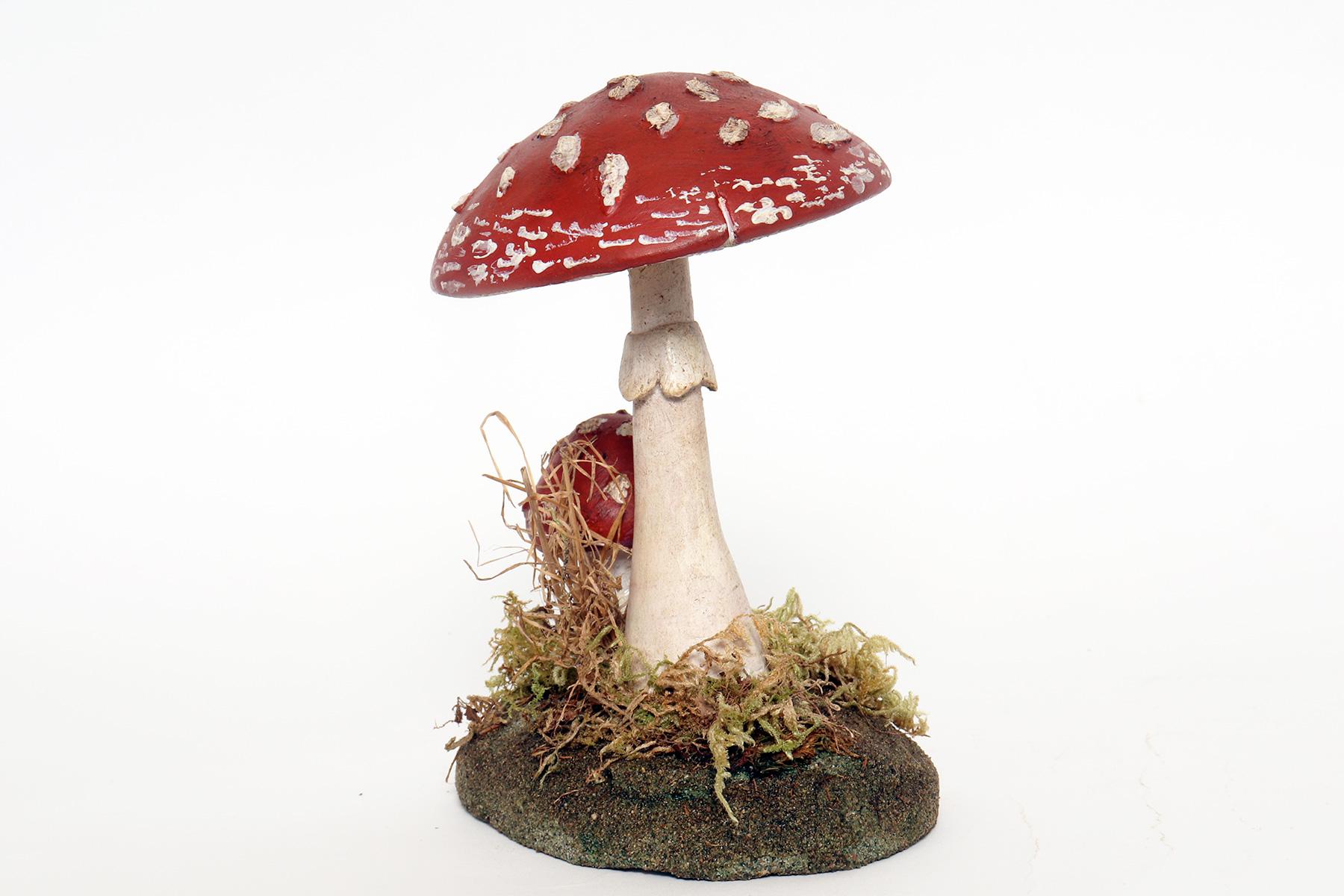 A pharmacy mushroom model: Amanita Rubescens, Italy 1950. In Good Condition In Milan, IT