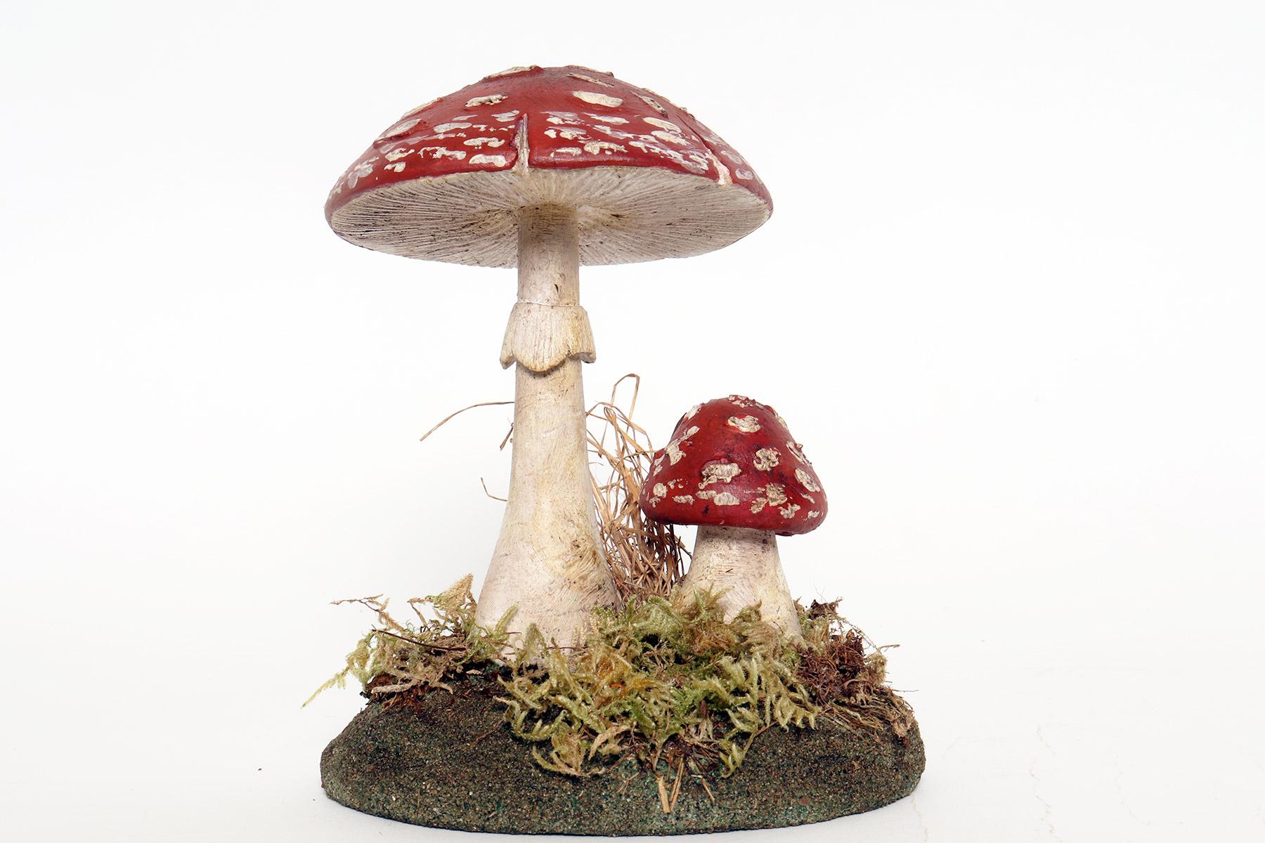 20th Century A pharmacy mushroom model: Amanita Rubescens, Italy 1950.