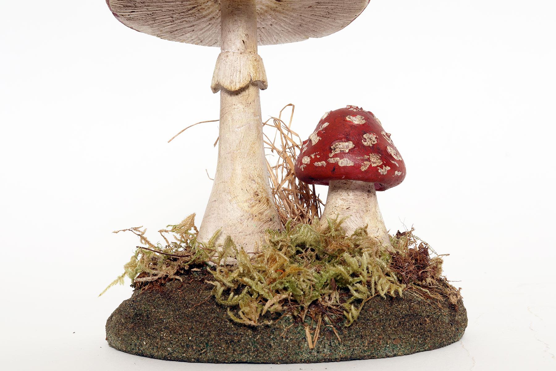 Plaster A pharmacy mushroom model: Amanita Rubescens, Italy 1950.