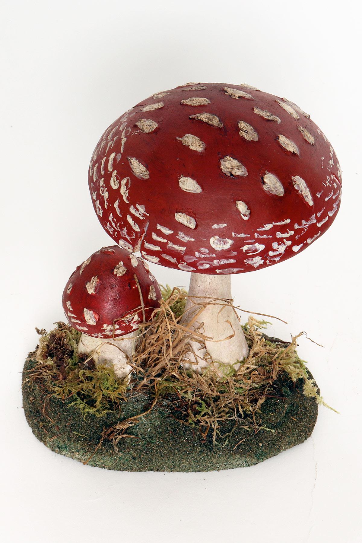 A pharmacy mushroom model: Amanita Rubescens, Italy 1950. 1