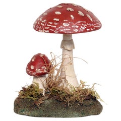 A pharmacy mushroom model: Amanita Rubescens, Italy 1950.