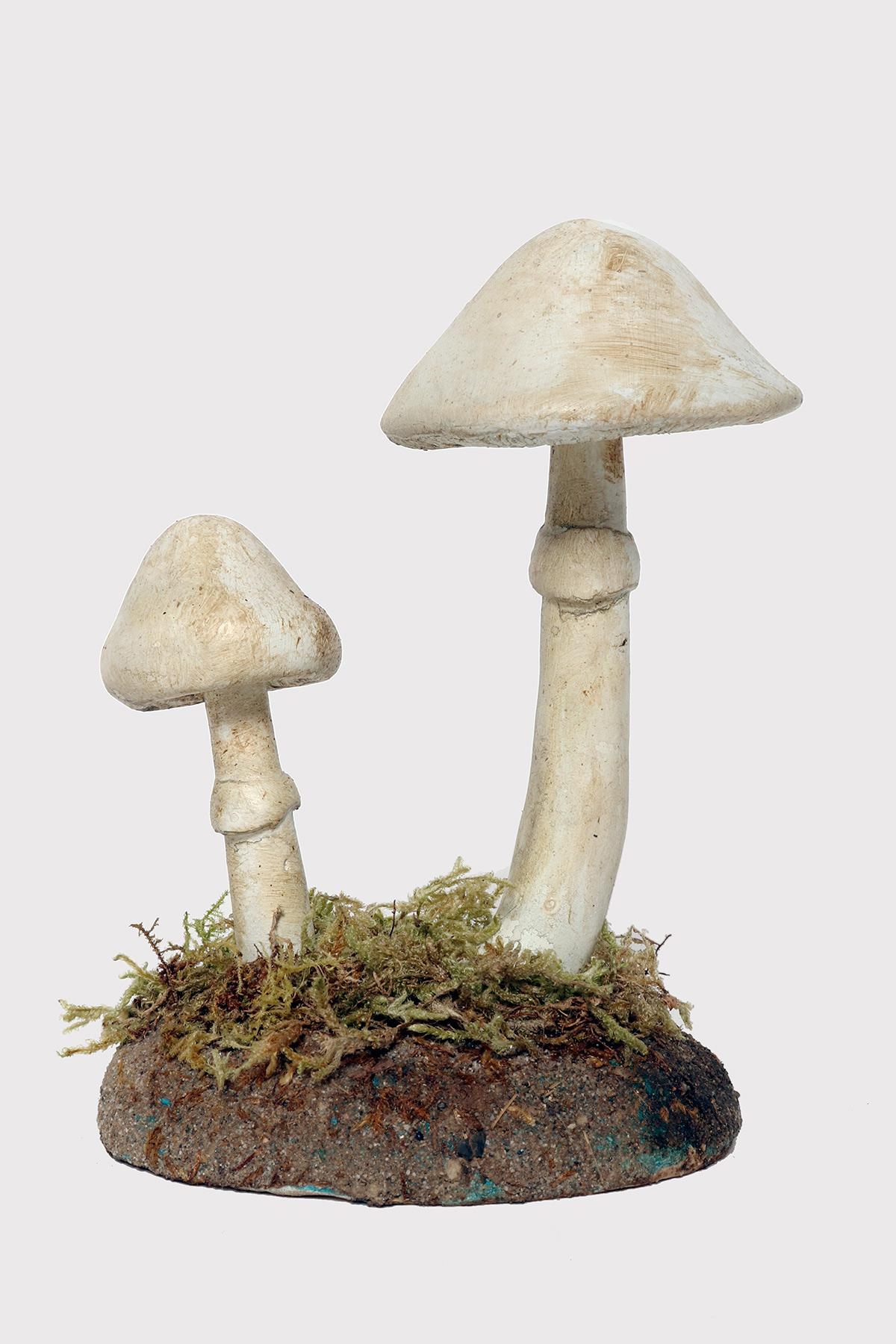 A pharmacy model of a specimen of Amanita Virosa mushroom, made in painted plaster, on a green oval-shaped plaster base with moss and hay. Italy circa 1950.