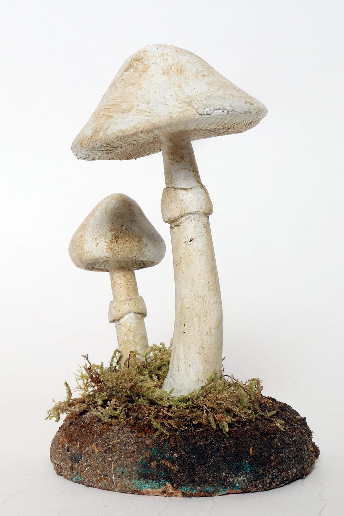 Italian A pharmacy mushroom model: Amanita Virosa, Italy 1950. For Sale