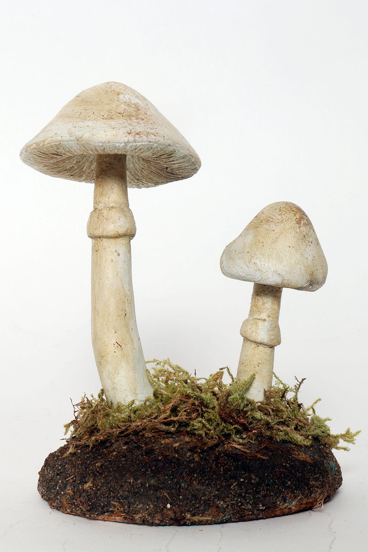 A pharmacy mushroom model: Amanita Virosa, Italy 1950. In Good Condition For Sale In Milan, IT