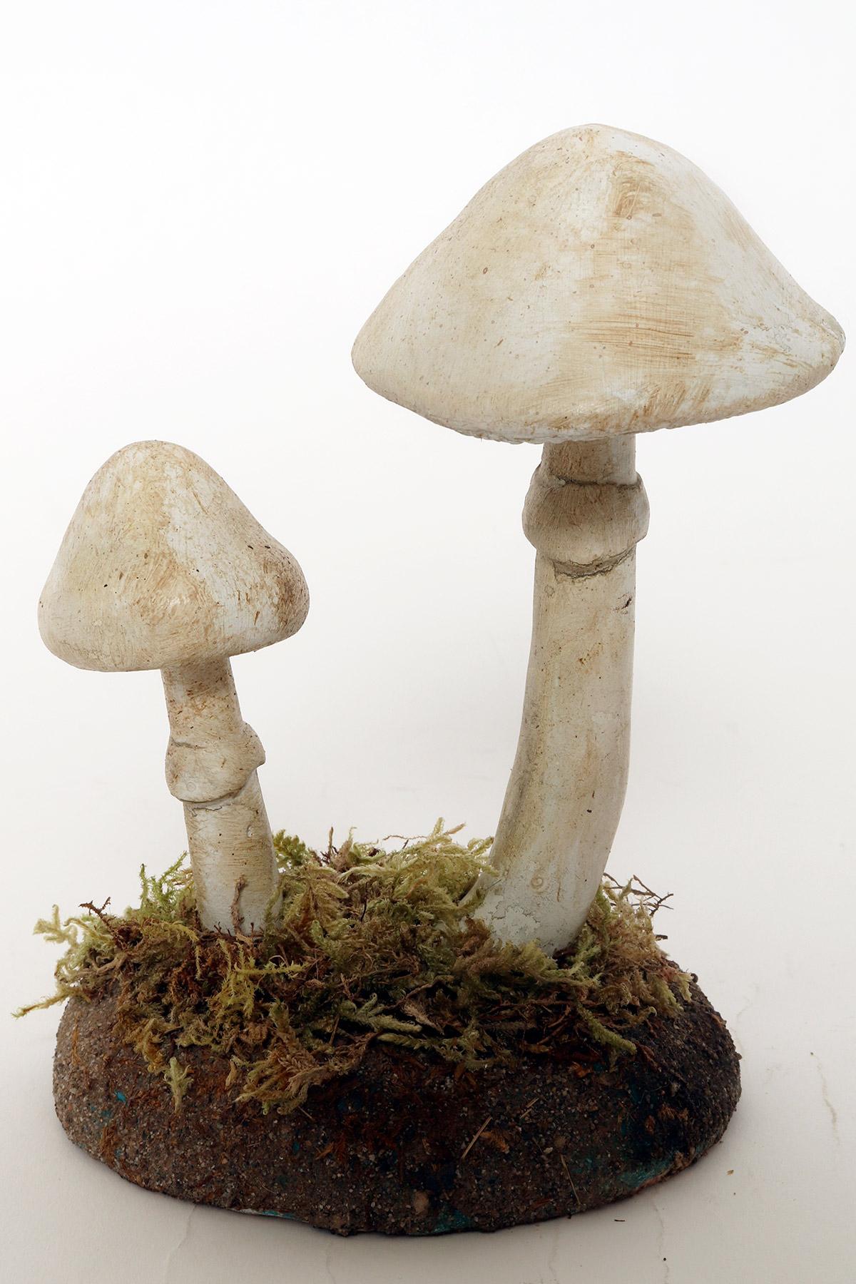 20th Century A pharmacy mushroom model: Amanita Virosa, Italy 1950. For Sale