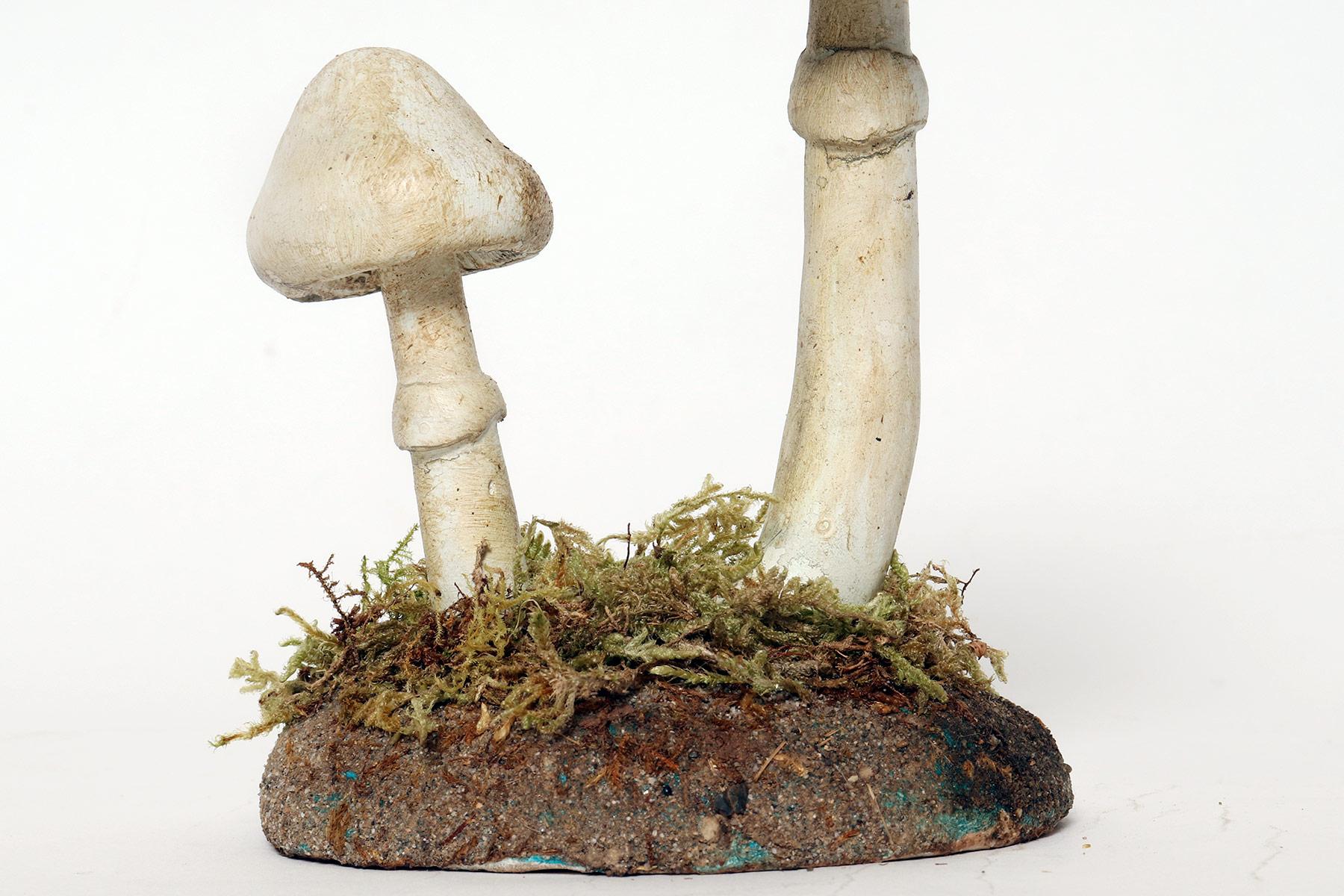 A pharmacy mushroom model: Amanita Virosa, Italy 1950. For Sale 1