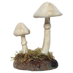 A pharmacy mushroom model: Amanita Virosa, Italy 1950.