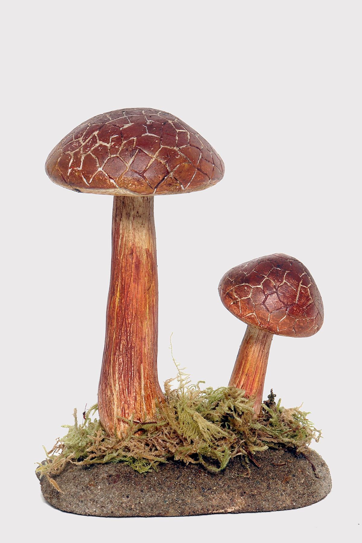 A pharmacy model of a specimen of Boletus Chrysenteron mushroom, made in painted plaster, on a green oval-shaped plaster base with moss and hay. Italy circa 1950.