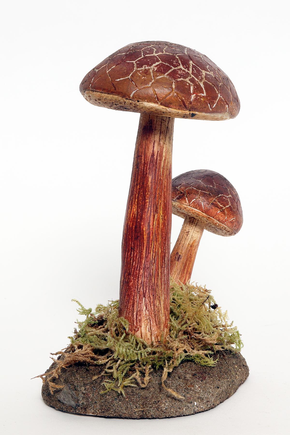 Italian A pharmacy mushroom model: Boletus Chrysenteron, Italy 1950. For Sale