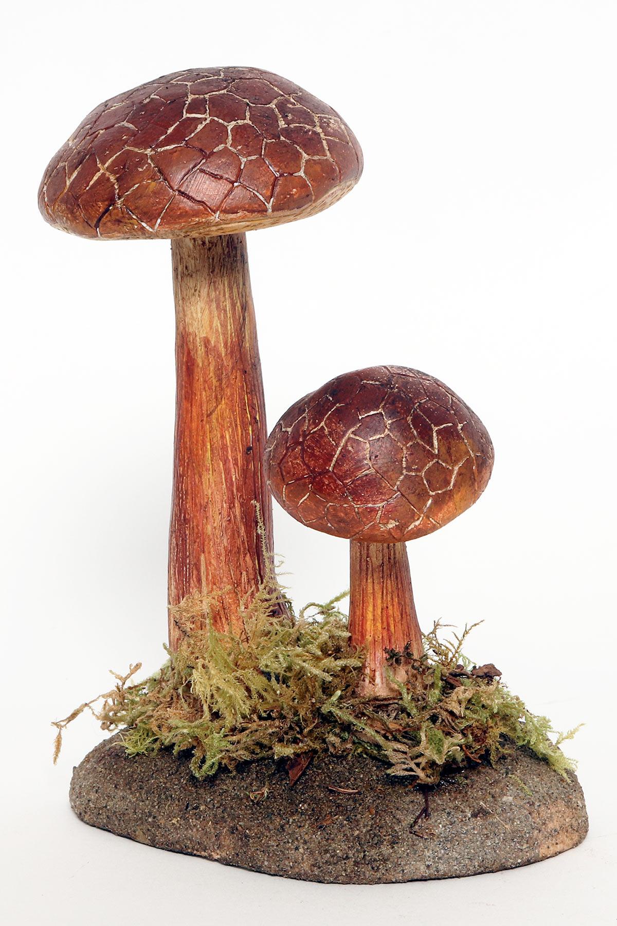 A pharmacy mushroom model: Boletus Chrysenteron, Italy 1950. In Good Condition For Sale In Milan, IT