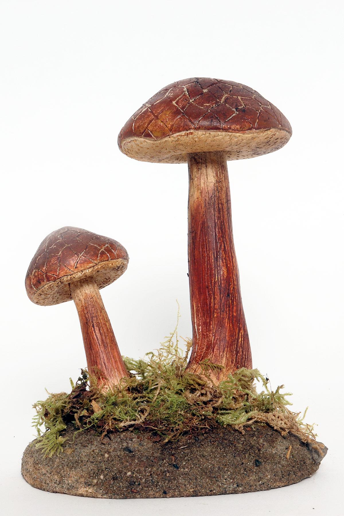 20th Century A pharmacy mushroom model: Boletus Chrysenteron, Italy 1950. For Sale
