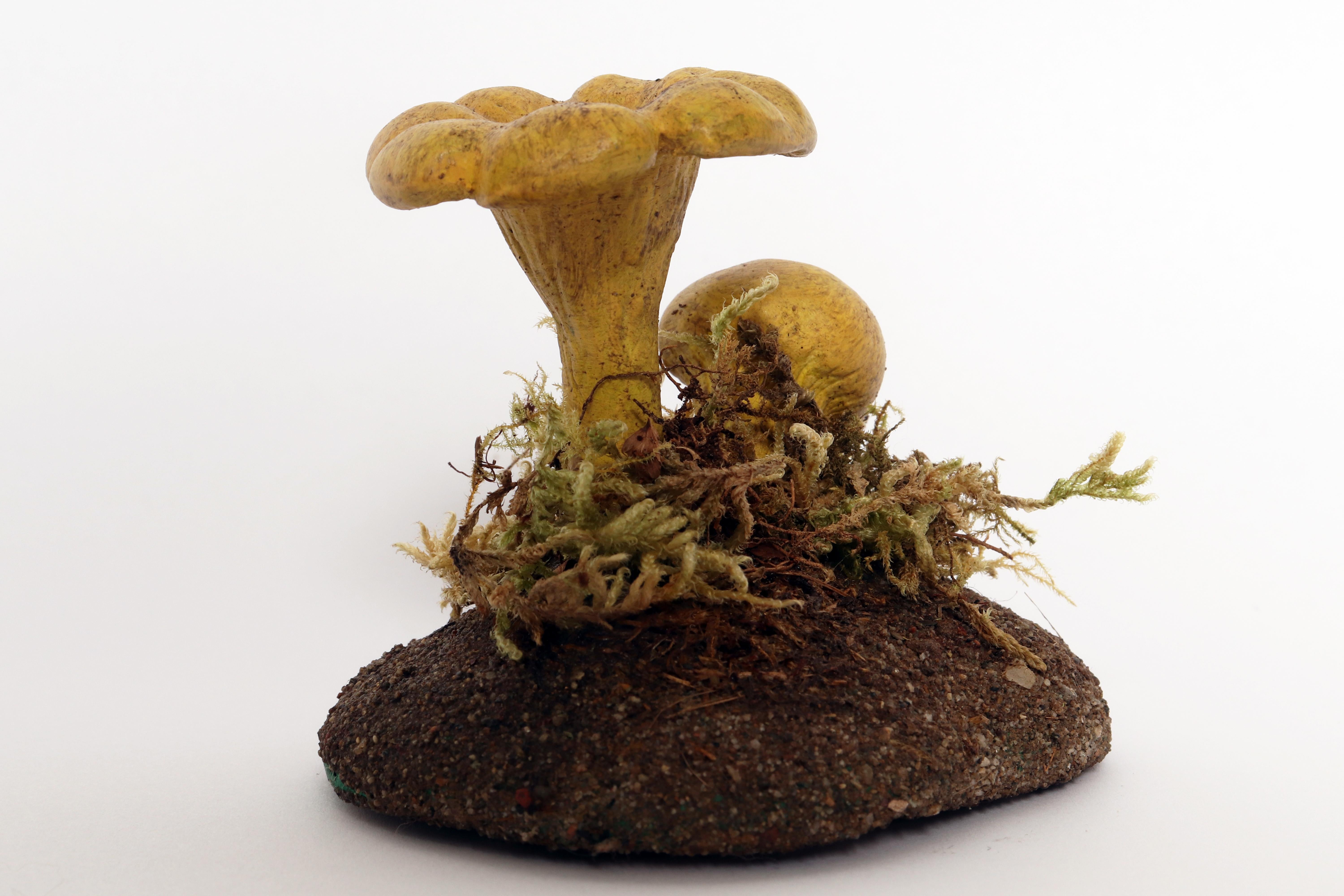 italien Modèle de champignon de pharmacie : Chanterle Raku, Italie 1950. en vente