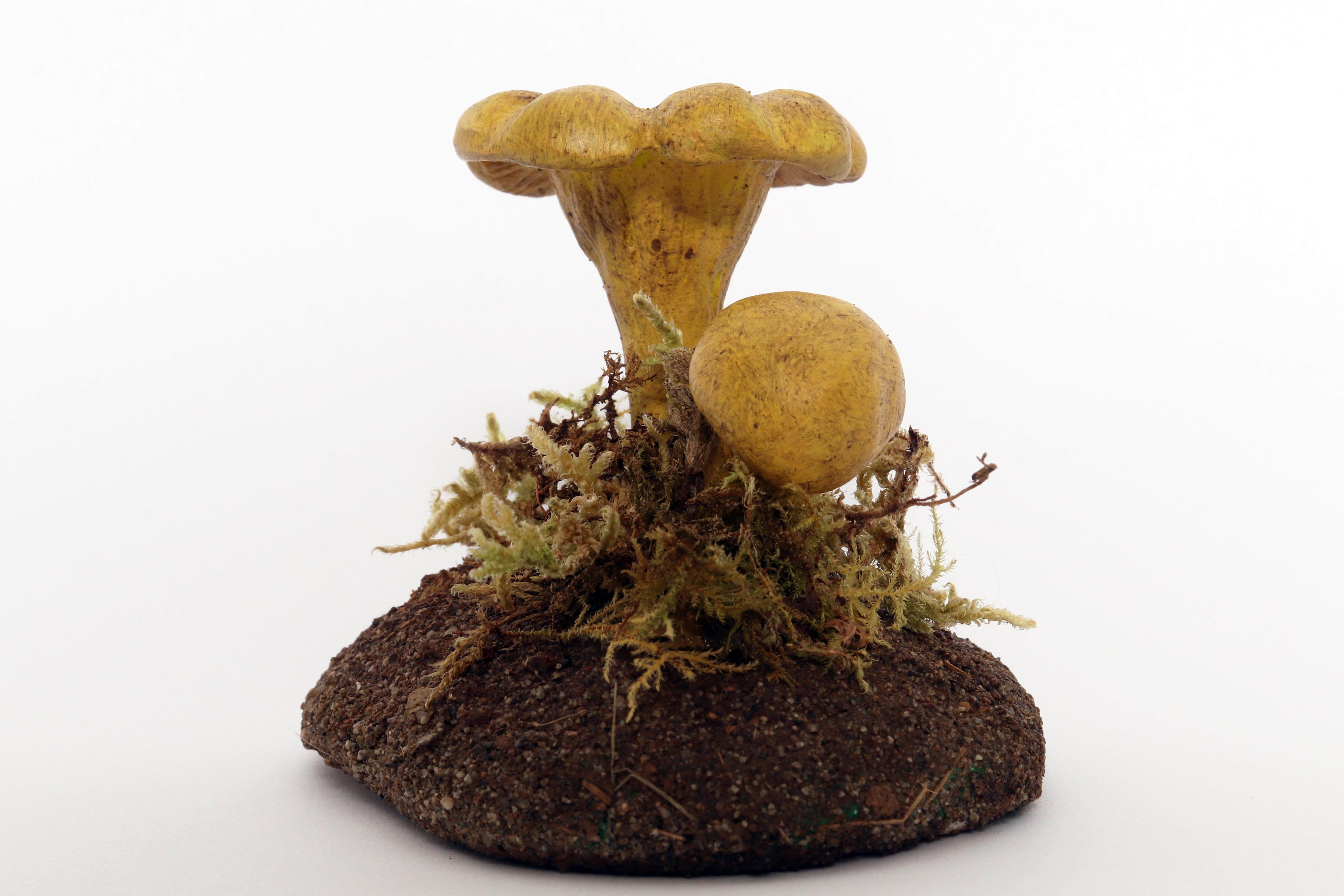 Modèle de champignon de pharmacie : Chanterle Raku, Italie 1950. Bon état - En vente à Milan, IT