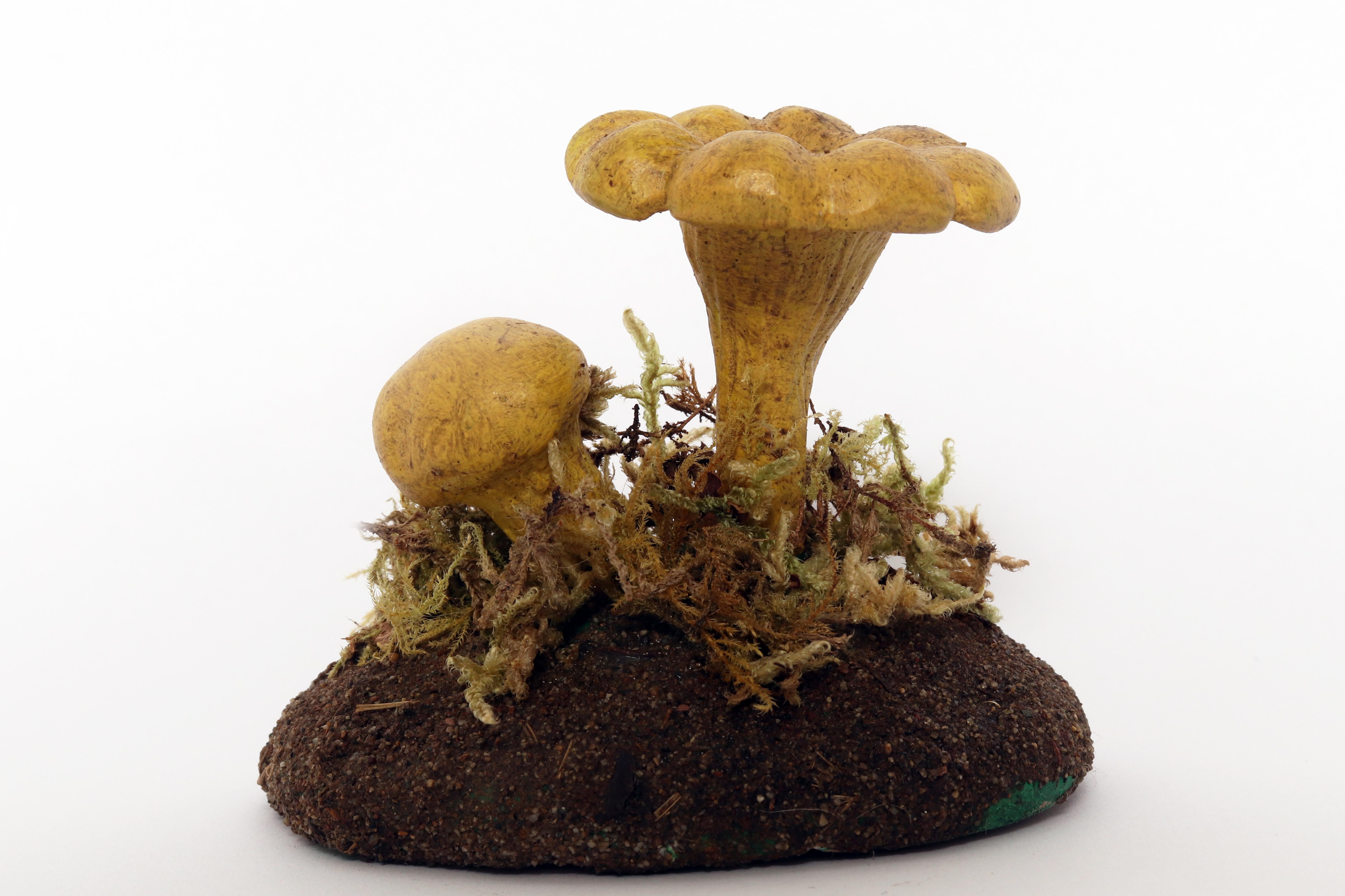 20ième siècle Modèle de champignon de pharmacie : Chanterle Raku, Italie 1950. en vente