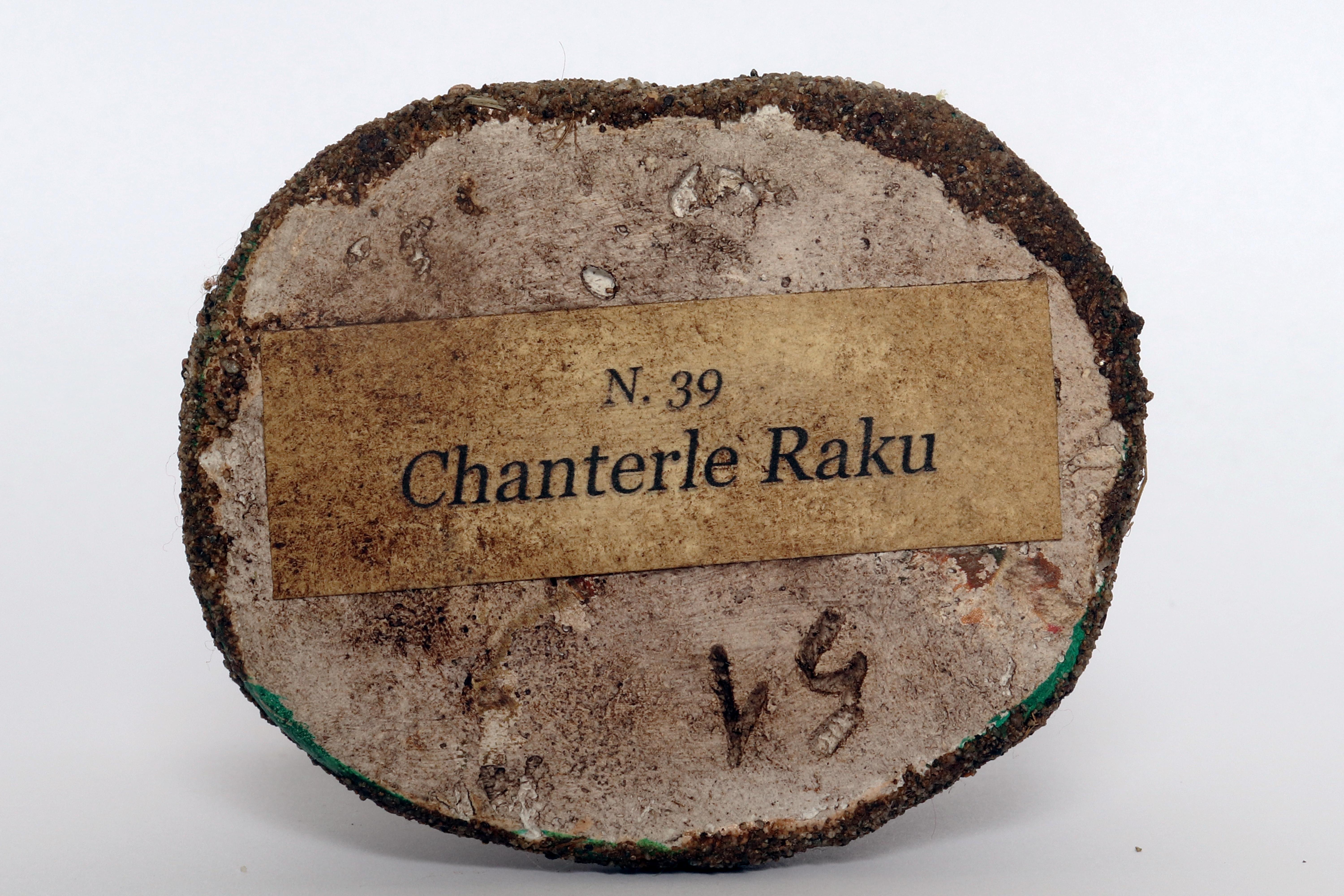 Modèle de champignon de pharmacie : Chanterle Raku, Italie 1950. en vente 1