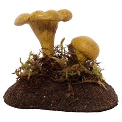 A pharmacy mushroom model: Chanterle Raku, Italy 1950.