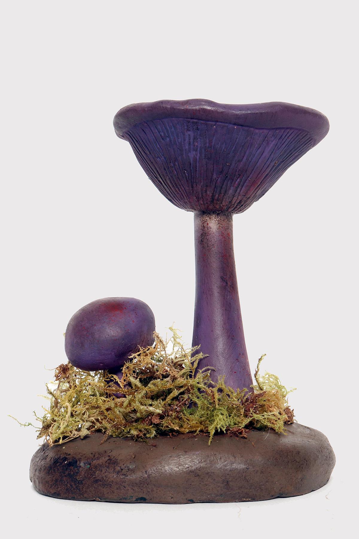 A pharmacy model of a specimen of Cortinarius Violaceus mushroom, made in painted plaster, on a green oval-shaped plaster base with moss and hay. Italy circa 1950.