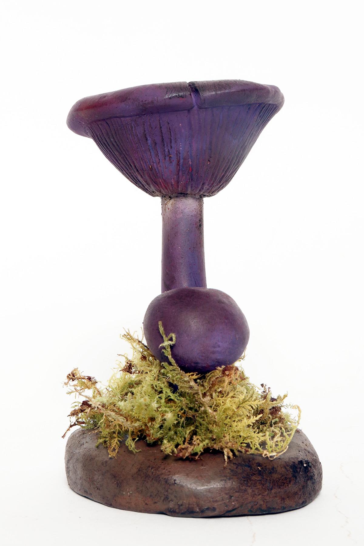 Italian A pharmacy mushroom model: Cortinarius Violaceus, Italy 1950. For Sale