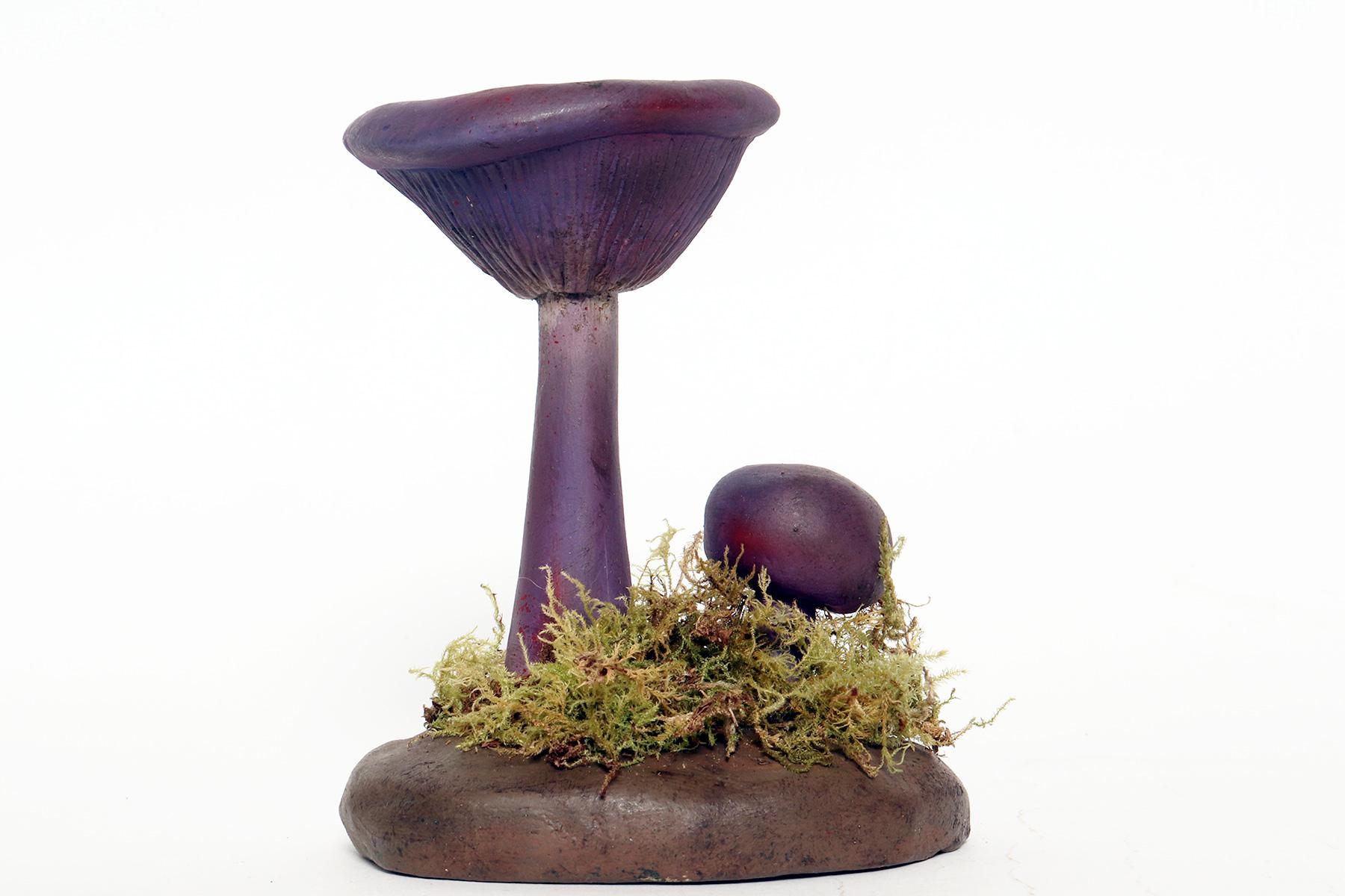 A pharmacy mushroom model: Cortinarius Violaceus, Italy 1950. In Good Condition For Sale In Milan, IT