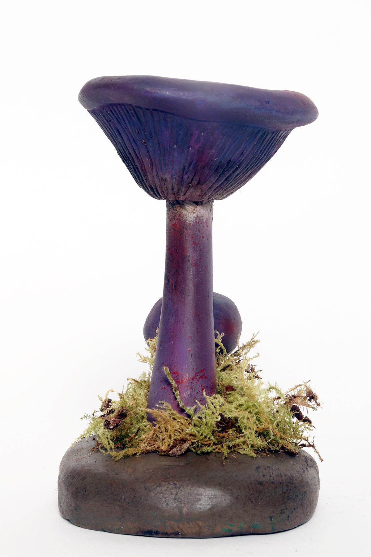 20th Century A pharmacy mushroom model: Cortinarius Violaceus, Italy 1950. For Sale