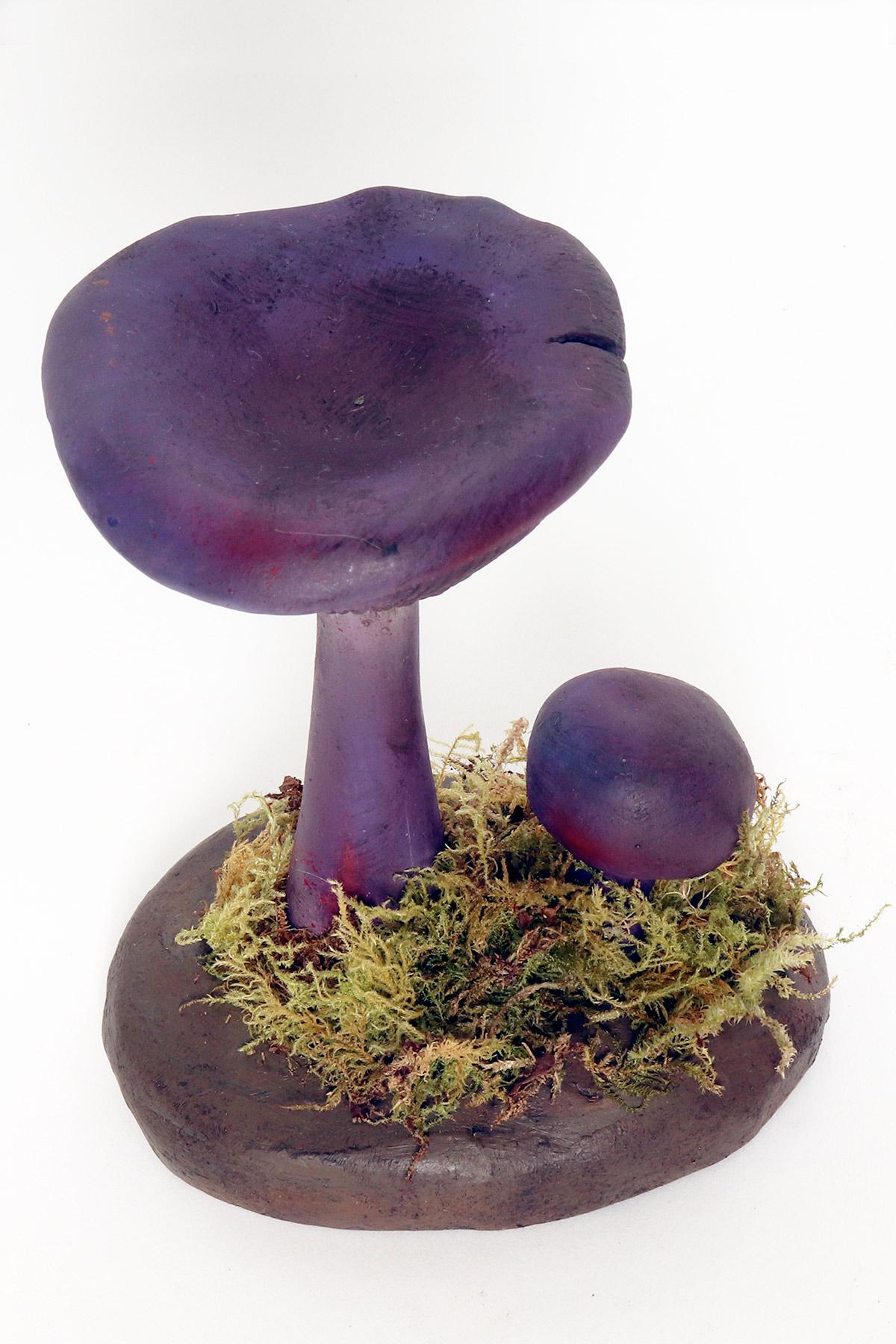 Plaster A pharmacy mushroom model: Cortinarius Violaceus, Italy 1950. For Sale