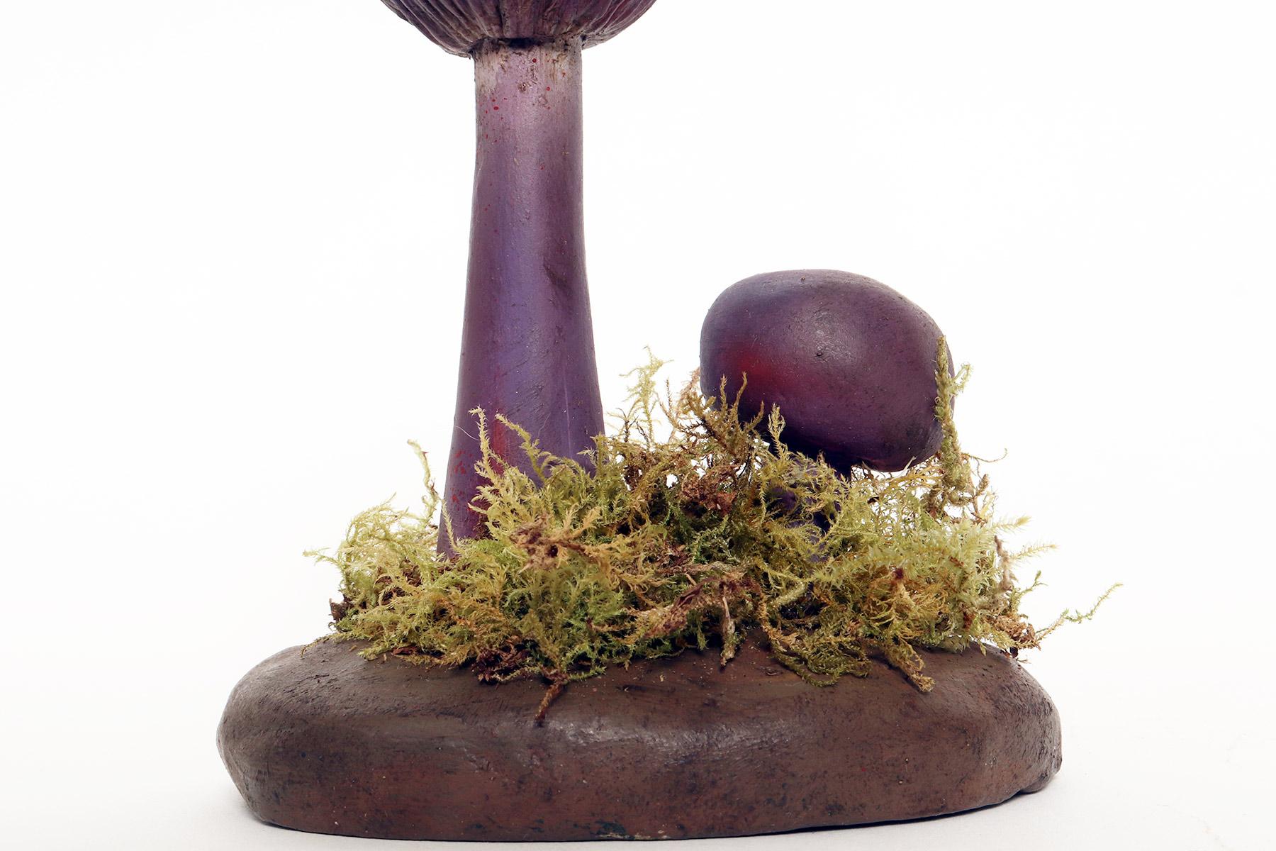 A pharmacy mushroom model: Cortinarius Violaceus, Italy 1950. For Sale 1